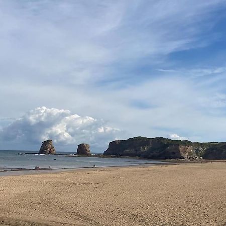 Hendaye Plage Charmant Studio 2Pers Avec Grande Terrasse Vue Mer Экстерьер фото